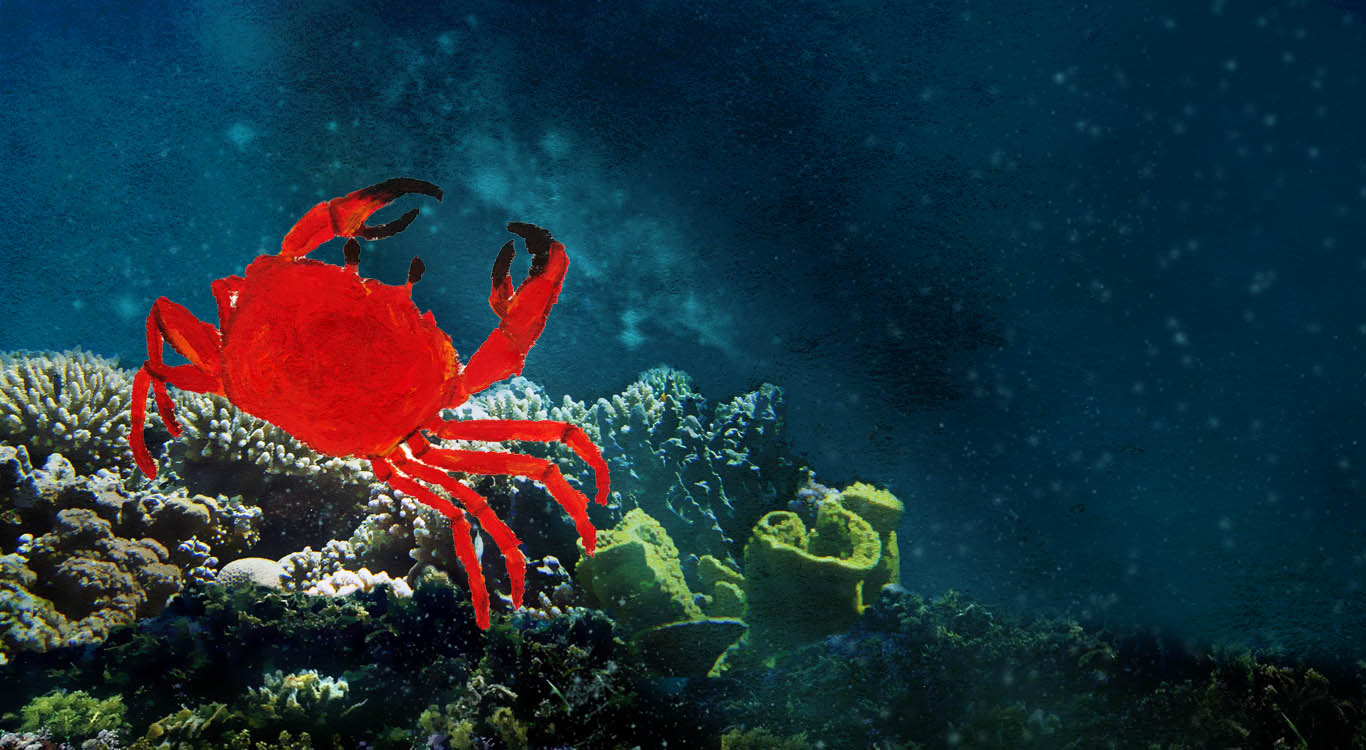 Mr. Crabby Crab singing