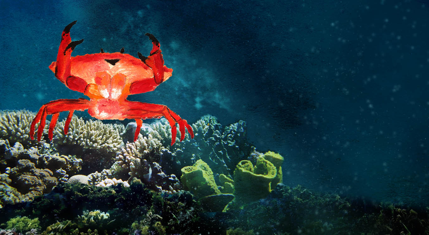 Mr. Crabby Crab singing