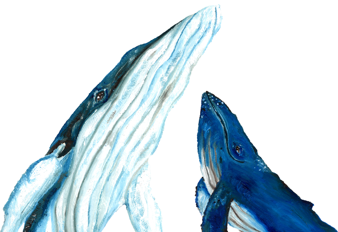 mom and baby will whale talking